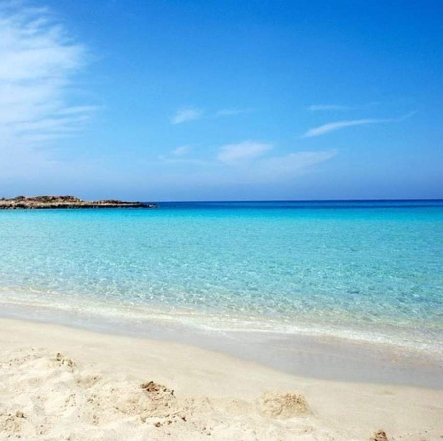 Nissi Golden Sands Sea View 2 Bedroom Apartment Ayia Napa Eksteriør billede